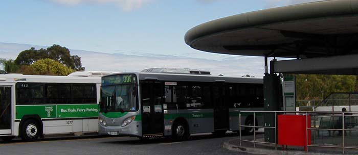 Transperth Mercedes O405NH Volgren CR225L